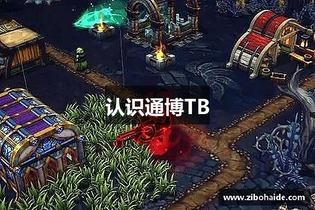 认识通博TB